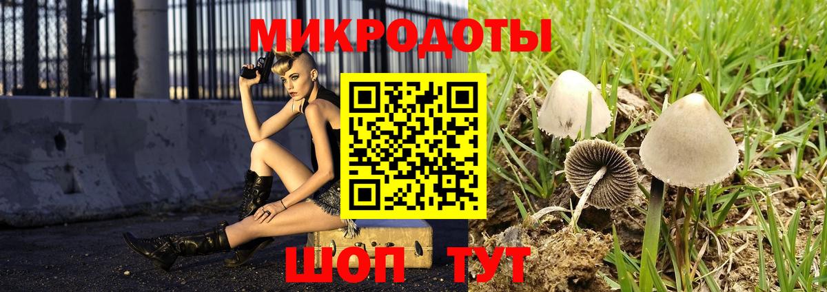 Псилоцибиновые грибы Cubensis  Вход с VPN  Псилоцибиновые грибы Cubensis  Мирный 