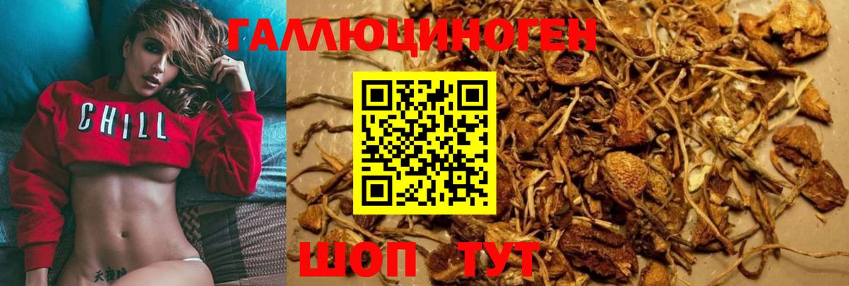 Галлюциногенные грибы GOLDEN TEACHER Мирный